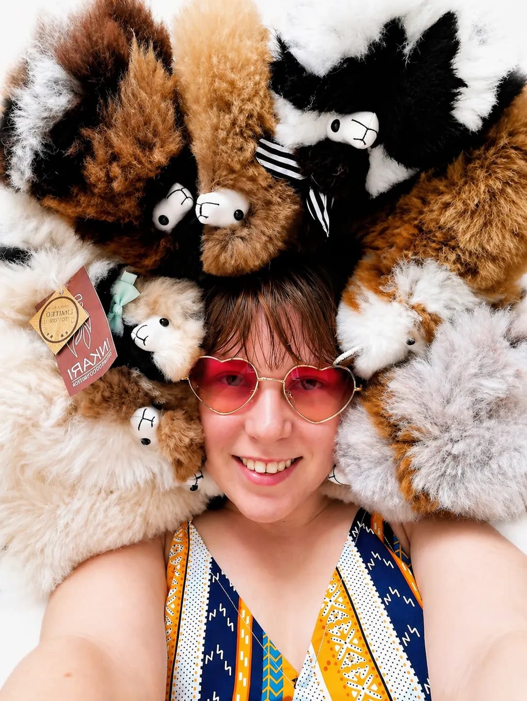 A customer surrounded by their collection of Inkari alpacas